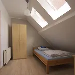 Morskie Oko Guest house
