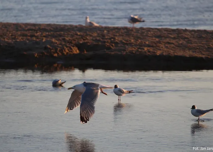 Gæstehus Morskie Oko Gdańsk