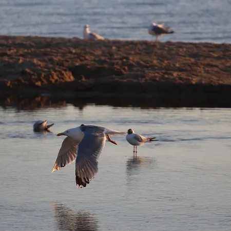 Gasthof Morskie Oko Danzig